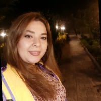 Elnaz Mohamadi