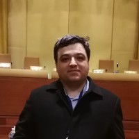 Dragos Calin