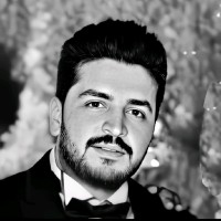 Mohamed Hafez