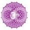 moksha mantra