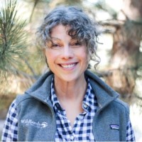 Kim Howes