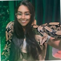 Lidyane Maria Pereira de Albuquerque