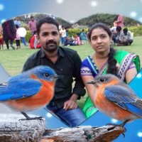 Srinu Kusume