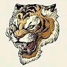 TIGER THE KING OF FIGHTERS