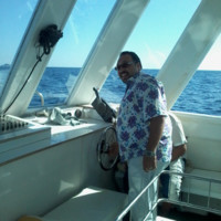 waleed arafa