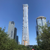 杨蔚彪