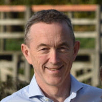 Kris Daenen