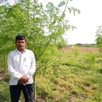 Angad Shingate