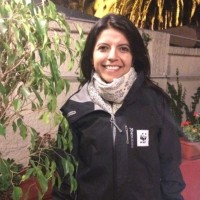 Paula A. Rodriguez Vargas