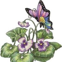 sheila read