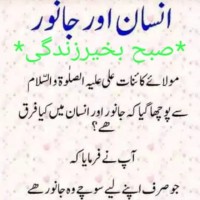 Mahmood Ahmad