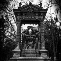 SALVADOR MARTÍNEZ PALOMERA