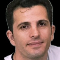 hamid mohamadi