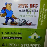 Randy Ran Ran Pestcontrol