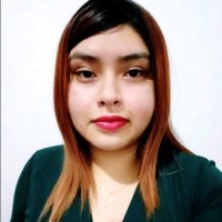 Marisol Castillo Porras