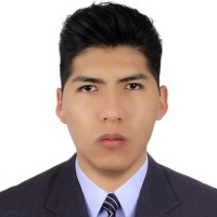 Bryan Calisaya Chambi