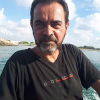 Enrico Pallotta