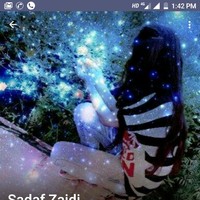 Zargham Zaidi