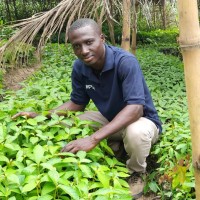 David Owusu Appau