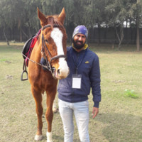 Pardeep Kumar Ghangas