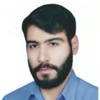 Hassan Goudarzi