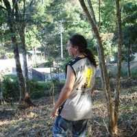 casa da imagem som e clima