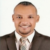 Mohamed Hussein Yassein