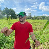 Daniel Quesada