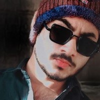 Wajahat Ali