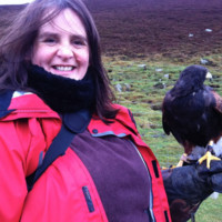 Gill Lauder