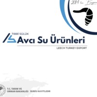 Avcı Su Ürünleri Tıbbi Sülük Leech Turkey Export