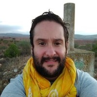 DAVID IRIBARNE  CARVAJAL