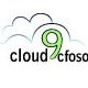Cloud 9 CFO Solutions