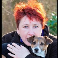 Bev Heald