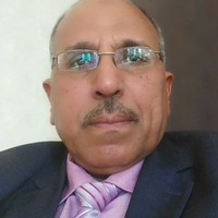 Mohamed Amer