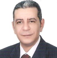 Walid Shawky