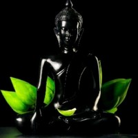 Yedu Krishna