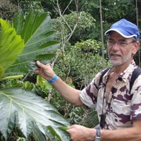 Peter Van Der Maas
