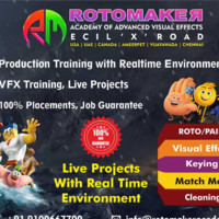 Rotomaker Academy VFX