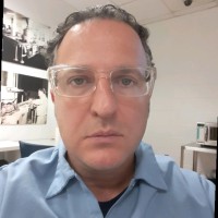 David Rotondo
