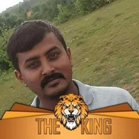Shankar Lion