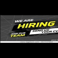 bright career placement services