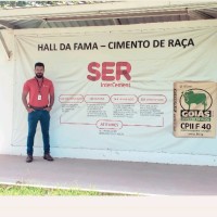 Luis Henrique Sousa Alves