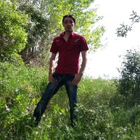 Nasser Novin