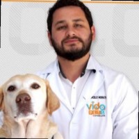 Marcelo Morato