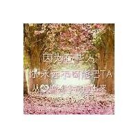 伏永永
