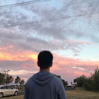Harry Tran