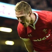 Johnny Mcnicholl