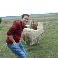 Hadi Ghasemi