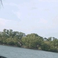Lazara Vila